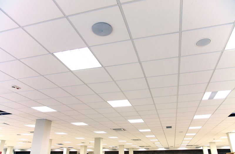 Ceiling Tiles Repair in Saint Augustine, FL