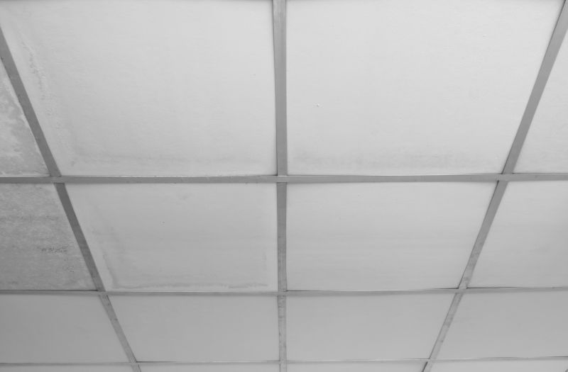 Ceiling Tiles Repair in Saint Augustine, FL