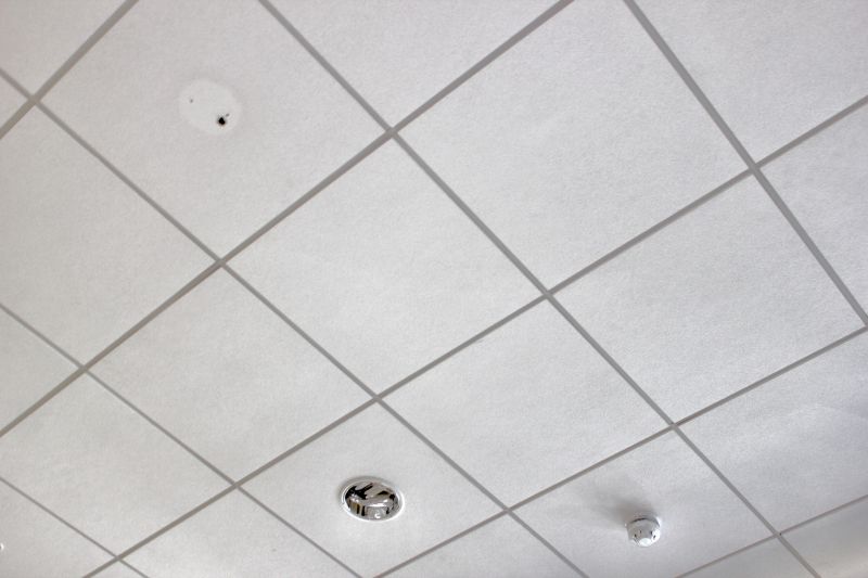 Grid Ceiling Installation